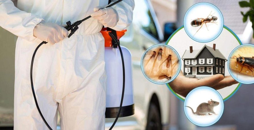 Gevaş Böcek İlaçlama