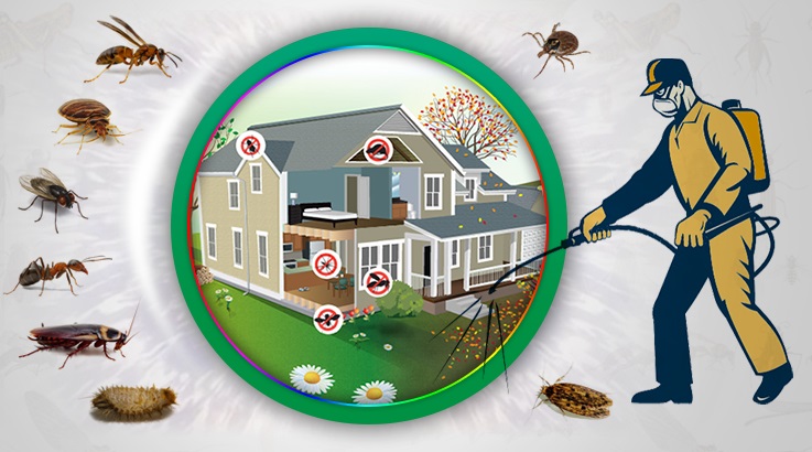 Gevaş Böcek İlaçlama