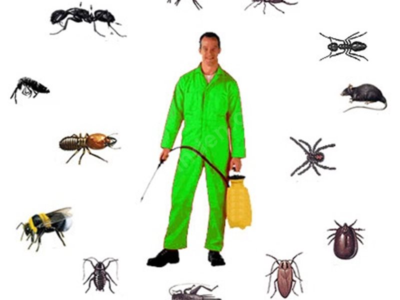 Gevaş Böcek İlaçlama